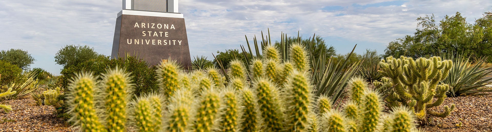 ASU sign in the desert amid cactuses