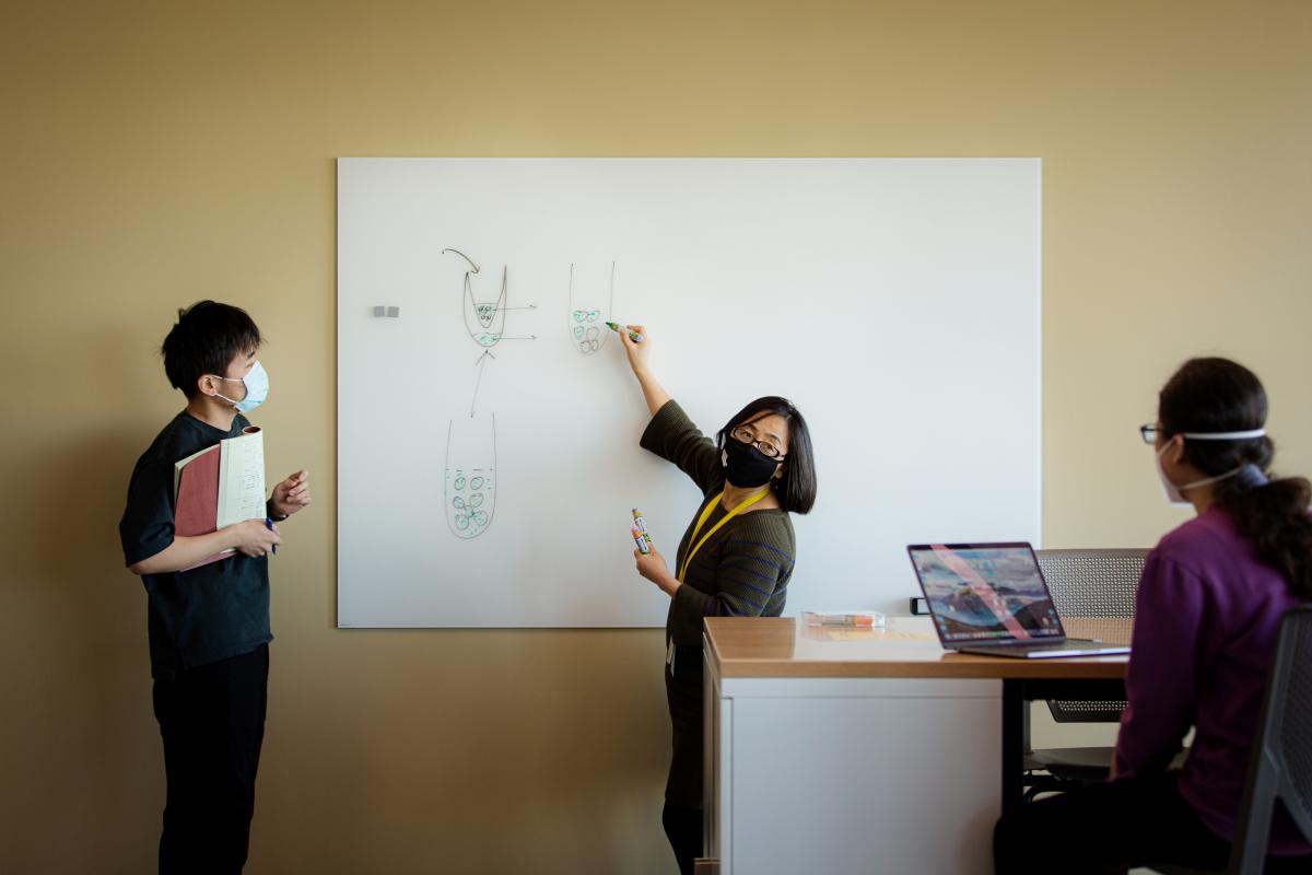 people collaborating at white board