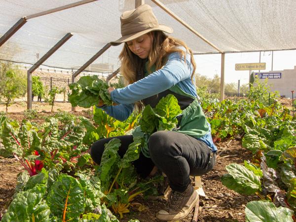 Volunteer working at a farm